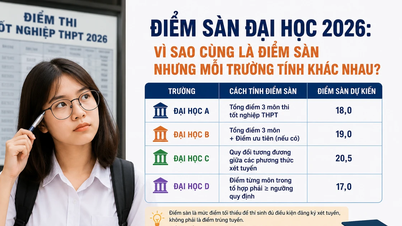 Điểm sàn đại học 2026: Vì sao mỗi trường có cách tính khác nhau?