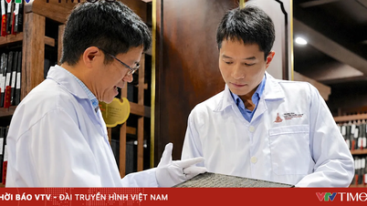 Het behoud van de ziel van de Vietnamese geschiedenis door middel van houtsneden.
