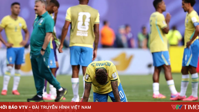 Neymar brød sammen i gråd, da han så Brasiliens sidste nederlag ved VM.