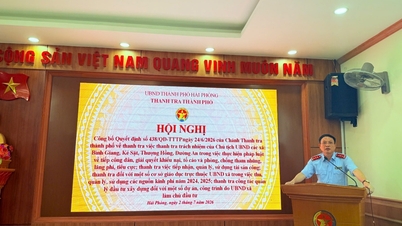 Şehir müfettişliği, Binh Giang, Ke Sat, Thuong Hong ve Duong An beldelerinde denetim yapılması kararı aldığını duyurdu.
