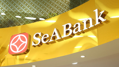 بانک SeABank با ۲۳ رتبه صعود، سومین حضور متوالی خود را در رتبه‌بندی فورچون جنوب شرقی آسیا ۵۰۰ تجربه کرد.