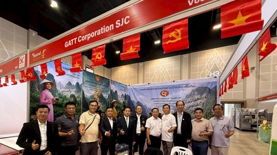 A Vietnami Tea Culture Space terjeszti a nemzeti identitást Thaiföldön.
