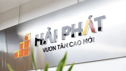 Der Vorsitzende von Hai Phat Invest (HPX) registriert sich zum Kauf von 10 Millionen Aktien; der Gewinn im ersten Quartal erreichte lediglich 3,6 % des Jahresplans.