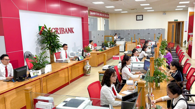 Zemědělská a venkovská rozvojová banka – pobočka Nam Thanh Hoa: Pokračování v udržování a propagaci značky Agribank Nam Thanh Hoa.