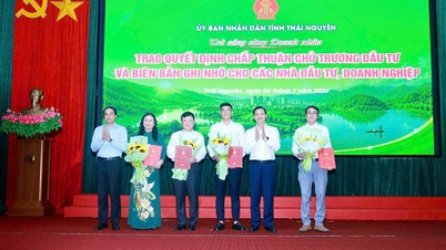 Thai Nguyen University samarbeider om å opprette en vekstpol i den nordlige delen av Thai Nguyen-provinsen.