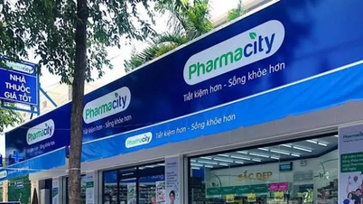 De nombreuses pharmacies ont été condamnées à des amendes pour avoir vendu des médicaments sans ordonnance.