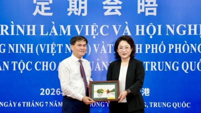 Quang Ninh își consolidează cooperarea cu orașul portuar Fangcheng (China)