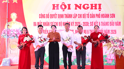 După reorganizare, Hai Phong mai are 1.723 de sate și zone rezidențiale.