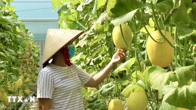 Ministerstwo Rolnictwa i Środowiska ogłasza plan innowacji na lata 2026-2030.