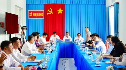 Vicepreședintele Comitetului Popular Provincial, Chau Van Hoa, ascultă un raport privind implementarea digitalizării zonei de materie primă organică pentru nucă de cocos din provincie.