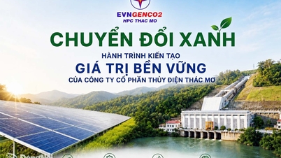 Transformação Verde - A Jornada de Criação de Valor Sustentável na Thac Mo Hydropower Joint Stock Company