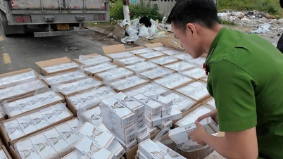 Les entreprises de transport de Da Nang intensifient leurs efforts pour lutter contre la contrebande et le transport illégal de cigarettes.