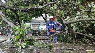 Quang Ninh جلد از جلد لوگوں کی زندگیوں کو مستحکم کرنے پر اپنی کوششوں پر توجہ مرکوز کرتا ہے۔