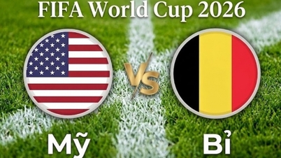 Analiză și predicții pentru meciul SUA vs Belgia: O bătălie fără menajamente.
