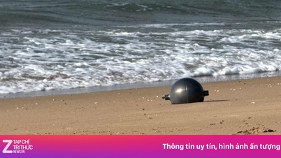 Oggetti misteriosi scoperti su una spiaggia australiana.