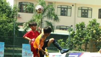 Finala Cupei HTV LIVE - Grupa C U13