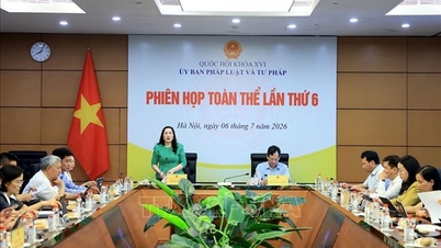 សូមពិចារណាអំពីនីតិវិធីសម្រាប់ការបញ្ជូនបុគ្គលដែលមានអាយុពី 12 ដល់ក្រោម 18 ឆ្នាំទៅកាន់ការស្តារនីតិសម្បទាដោយបង្ខំចំពោះអ្នកញៀនថ្នាំ។