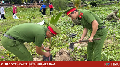 Belia Jabatan Polis Bandar Raya Ho Chi Minh telah menganjurkan pelbagai aktiviti untuk alam sekitar.