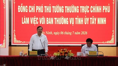 ខេត្តតៃនិញប្រកាន់ខ្ជាប់យ៉ាងខ្ជាប់ខ្ជួននូវគោលដៅកំណើនរបស់ខ្លួន និងពន្លឿនការបញ្ចេញដើមទុនវិនិយោគសាធារណៈ។