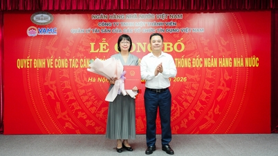 Công bố Quyết định bổ nhiệm Thành viên Hội đồng thành viên VAMC