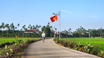 Quang Ngai: Creating livable rural areas
