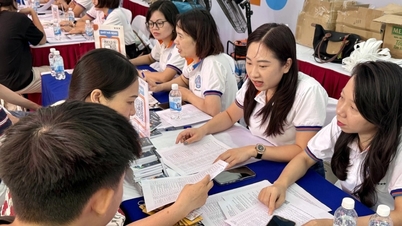 상무대학교는 2026학년도 최소 입학 점수를 발표했으며, 합격 기준 점수가 하락할 것으로 예상됩니다.