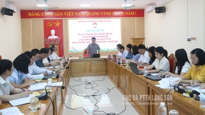 Jawatankuasa Tetap Jawatankuasa Pusat Barisan Tanah Air Vietnam menjalankan pemeriksaan di Lang Son.