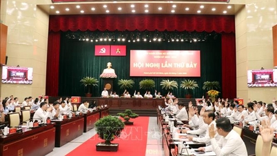 Kota Ho Chi Minh: Tingkat pertumbuhan tertinggi dalam 10 tahun terakhir.