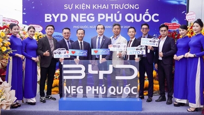 BYD NEG Phu Quoc نے Phu Quoc اسپیشل اکنامک زون میں الیکٹرک گاڑیوں کے ماحولیاتی نظام کو وسعت دیتے ہوئے باضابطہ طور پر کام شروع کیا۔
