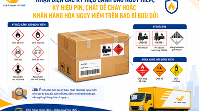 Identificarea precisă a materialelor inflamabile și explozive – Asigurarea siguranței încă din etapa de acceptare poștală.