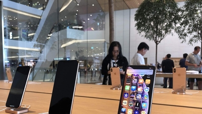 Apple spouští rekordní strategii pro iPhone: Ambice ovládnout globální trh.