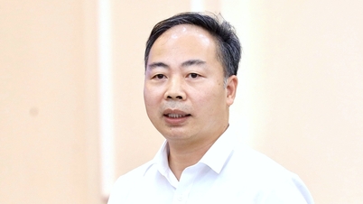Timbalan Pengarah Pengurusan Kualiti di bawah Kementerian Pendidikan dan Latihan telah dilantik sebagai Naib Rektor Universiti Pedagogi.