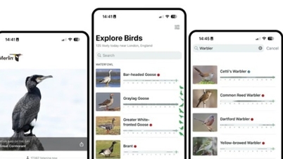 La numérisation des données sur les chants d'oiseaux contribue à la conservation de la biodiversité.