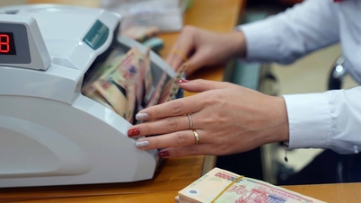 افرادی که حقوق و دستمزد 5 میلیون دونگ ویتنام یا بیشتر دریافت می‌کنند، مشمول مالیات بر درآمد شخصی هستند.
