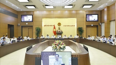 The Speaker of the National Assembly presided over a meeting with National Assembly agencies to review the work of the first six months of 2026.
