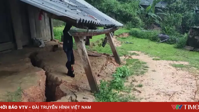De fortes pluies ont endommagé des maisons et perturbé les transports dans les provinces de Lai Chau et de Dien Bien.