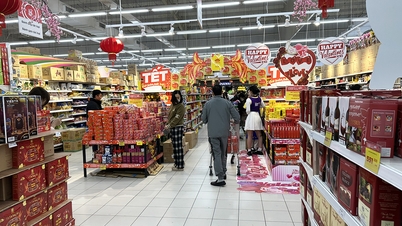 Action Plan for Implementing the Strategy for the Development of the Vietnamese Retail Market to 2030, with a Vision to 2050