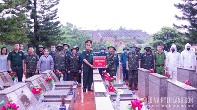 بررسی پیشرفت جمع‌آوری نمونه‌های بیولوژیکی در گورستان شهدای کائو لوک.