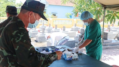 Bylo odebráno více než 13 000 hrobů padlých vojáků a odebrány vzorky DNA od jejich příbuzných.