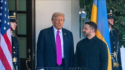 Presiden Trump akan bertemu dengan para pemimpin Ukraine dan Syria di luar sidang kemuncak NATO.