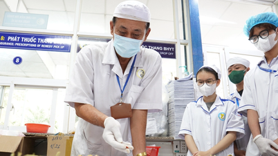 Cận cảnh quy trình sơ chế dược liệu y học cổ truyền ở Viện Y dược học dân tộc TP.HCM