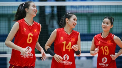 Pasukan bola tampar wanita bawah 18 tahun Vietnam mencapai kejayaan besar di Kejohanan Asia.