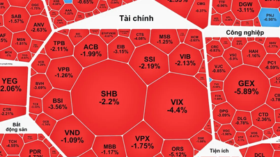 PNJ “nằm sàn” phiên thứ 2, VN-Index mất gần 19 điểm