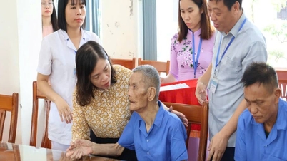 Några resultat inom psykiatrisk vård på Ninh Binh Mental Rehabilitation Center