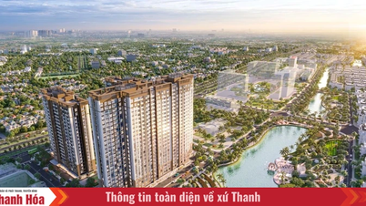 K-Park Avenue ជំនះការលំបាកក្នុងលំហូរសាច់ប្រាក់ និងរក្សាបានកំណើនស្ថិរភាពនៅក្នុងទីផ្សារ Thanh Hoa។