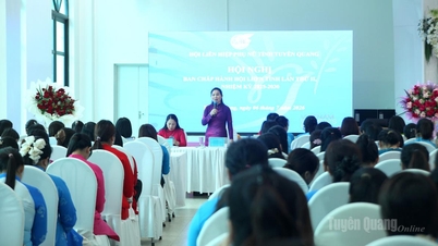Organisasi-organisasi perempuan di semua tingkatan sedang berinovasi dalam kegiatan mereka, dengan fokus yang kuat pada akar rumput.
