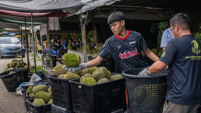 Die Durianpreise sind eingebrochen, der malaysische Premierminister verspricht, China um Hilfe bei der Rettung des Marktes zu bitten.