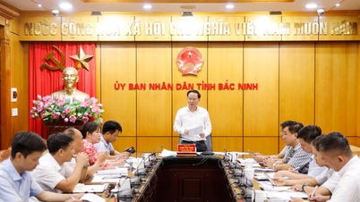 Khoảng 70 doanh nghiệp Nhật Bản sẽ sang Việt Nam tìm hiểu cơ hội đầu tư tại Bắc Ninh