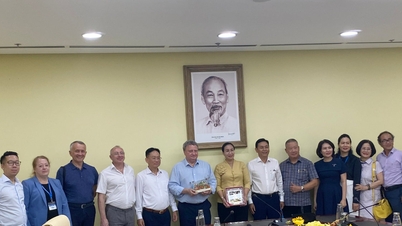 Investitorii ruși au propus construirea unui spital oftalmologic specializat și a unei clinici de reabilitare în Da Nang.