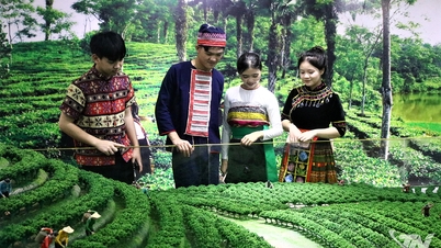 Muzium Thai Nguyen telah menerima lebih 16,700 pengunjung.